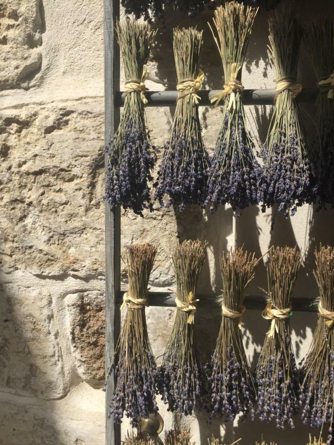 Suite Sur La Sorgue LʼIsle-sur-la-Sorgue Eksteriør billede